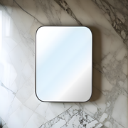 CURVE EDGE MIRROR